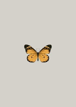 Butterfly Orange 21x30