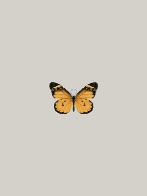 Butterfly Orange 30x40