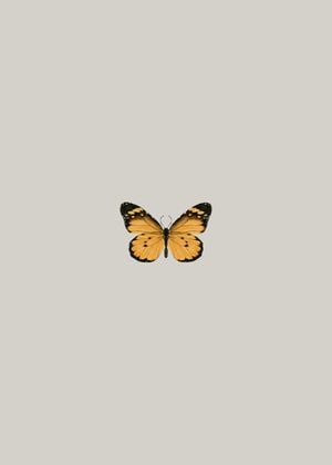 Butterfly Orange 50x70