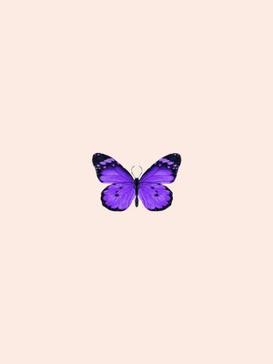 Butterfly Purple 30x40