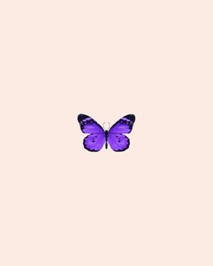 Butterfly Purple 40x50