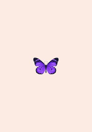 Butterfly Purple 70x100