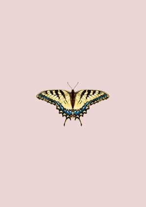 Butterfly Yellow 21x30
