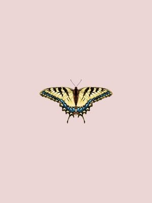 Butterfly Yellow 30x40