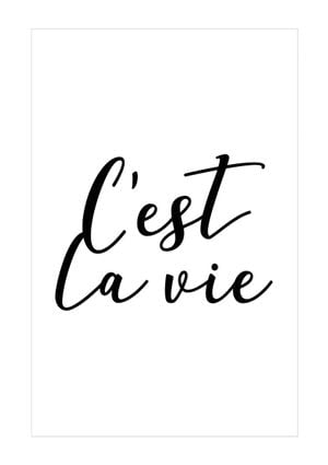 C'est La Vie 21x30