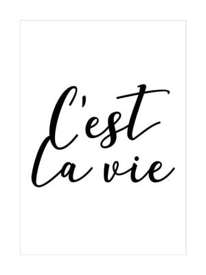 C'est La Vie 30x40