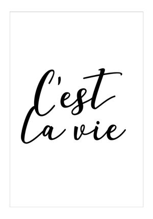 C'est La Vie 70x100