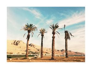 Cali Cali 40x30