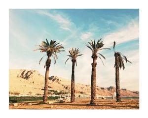 Cali Cali 50x40