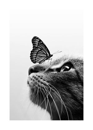Cat And Butterfly