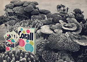 Coral in Coral