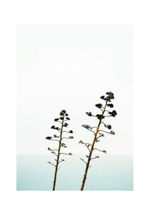 Coastal 70x100