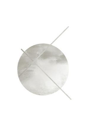 Compass 21x30