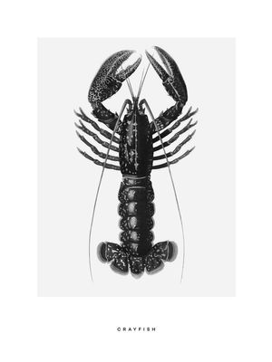 Crayfish 30x40
