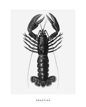 Crayfish 40x50