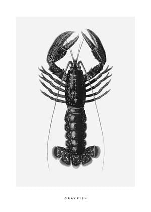 Crayfish