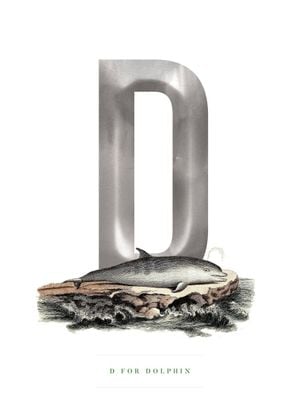 D For Dolphin