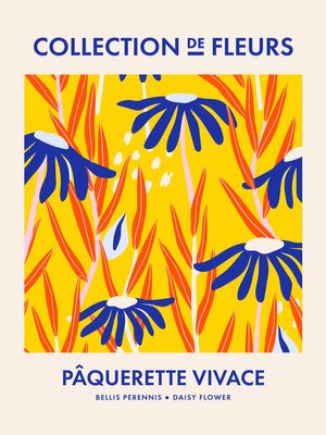 Daisy Flower Collection De Fleurs 30x40