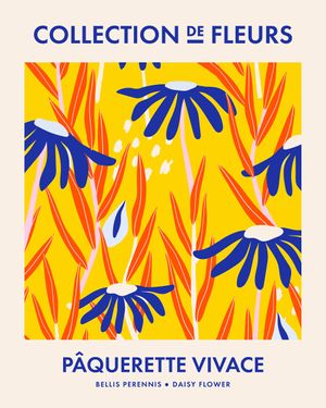 Daisy Flower Collection De Fleurs 40x50