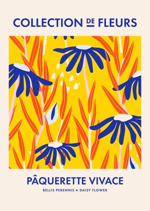 Daisy Flower Collection De Fleurs 50x70