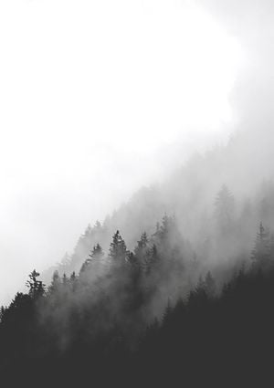 Dark Foggy Forest 21x30