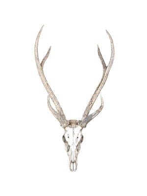 Deer Antlers 30x40