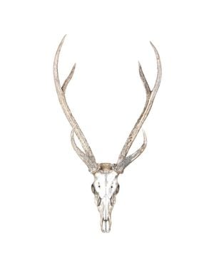Deer Antlers 40x50