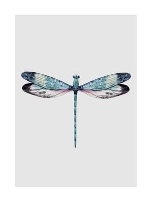 Dragonfly Illustration 30x40