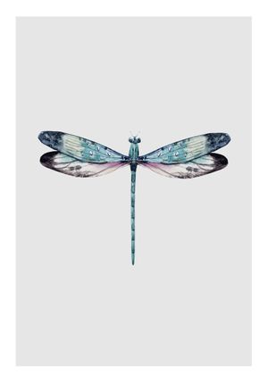 Dragonfly Illustration 70x100