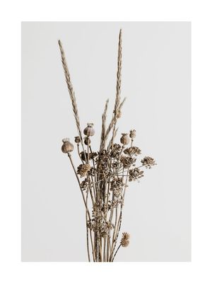 Dried Flower Bouquet 30x40