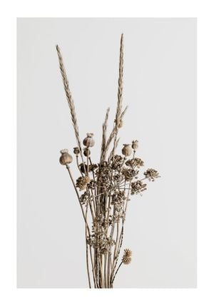 Dried Flower Bouquet 70x100