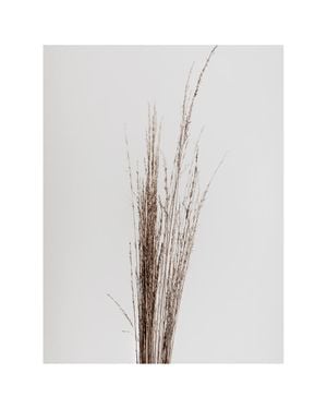 Dry Straws 40x50