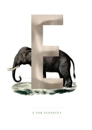 E For Elephant 21x30