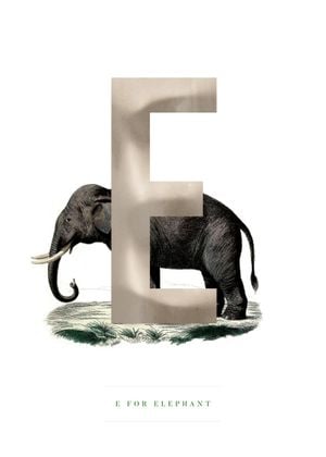 E For Elephant