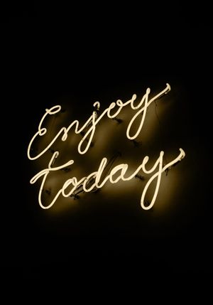 Enjoy Today 70x100