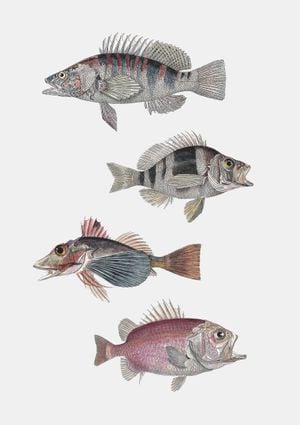 Exotic Fishes 21x30
