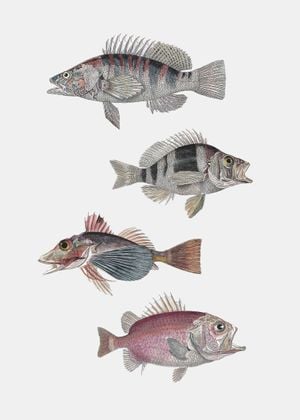 Exotic Fishes 50x70