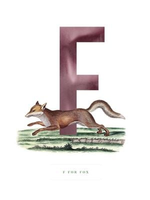 F For Fox 30x40