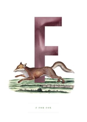 F For Fox