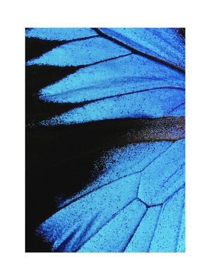 Feather Abstract 30x40