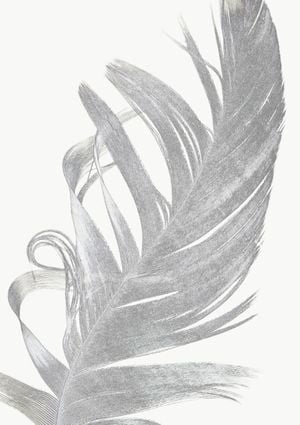 Feather Contours 21x30
