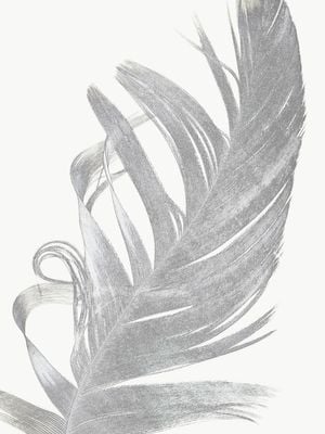 Feather Contours 30x40
