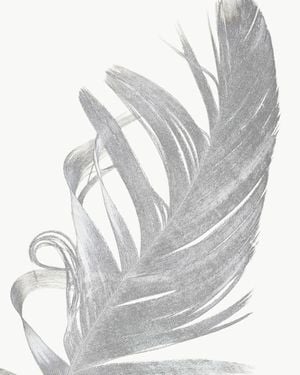 Feather Contours 40x50