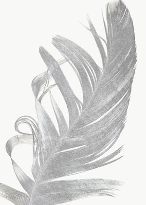 Feather Contours 50x70