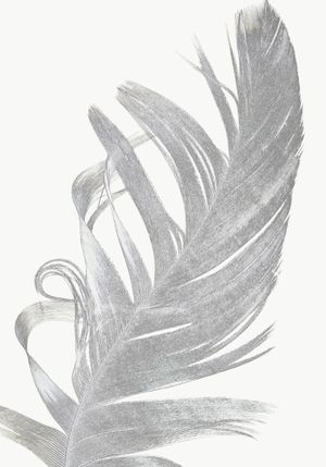 Feather Contours 70x100