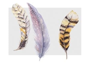 Feather Tryptic 100x70
