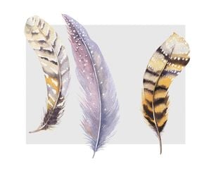 Feather Tryptic 50x40