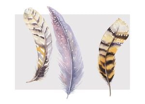 Feather Tryptic 70x50