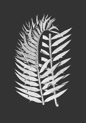 Fern Contrast 70x100