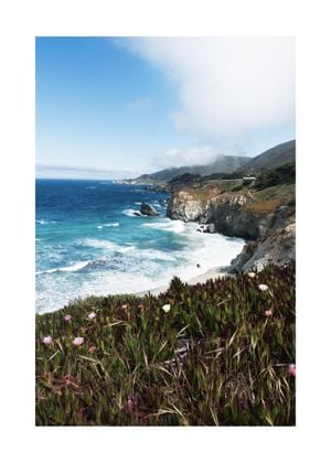 Flora Big Sur